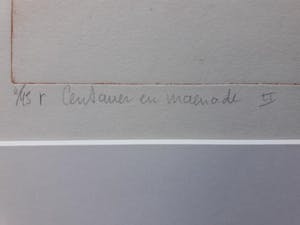 Ton Diekstra - Kleurenets eigen druk. Centauer en maenode 1 kopen? Bied vanaf 35!