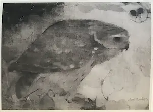 Jan Mankes - Originele Heliogravure Roofvogel op Tak 1923 kopen? Bied vanaf 1!