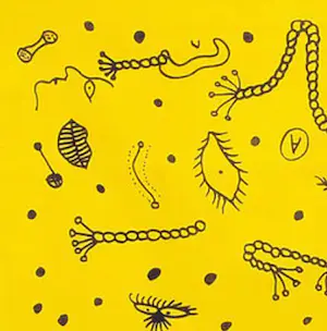 Yayoi Kusama - zwart/geel motief kopen? Bied vanaf 1!