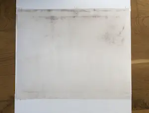 Theo van Hoytema - Leguaan, zittend op een steen in het water kopen? Bied vanaf 40!