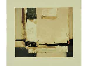 Ron van der Werf - Terra I verkocht voor € 50!