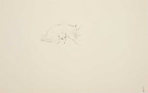 Melle Oldeboerrigter - Inkttekening op papier, z.t. Vlo kopen? Bied vanaf 80!