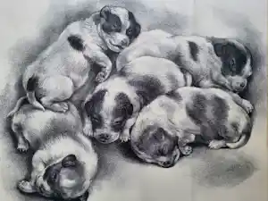 Aart van Dobbenburgh - "Puppies". kopen? Bied vanaf 75!