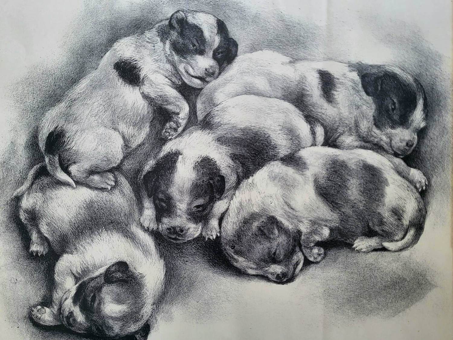 Aart van Dobbenburgh - "Puppies". kopen? Bied vanaf 75!