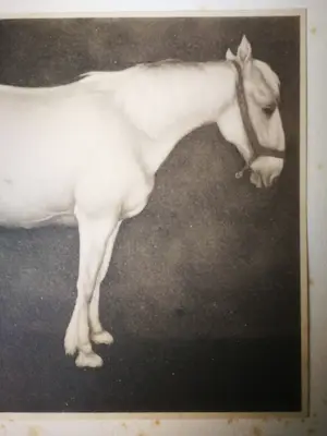 Jan Mankes - Heliogravure. Paard. kopen? Bied vanaf 1!