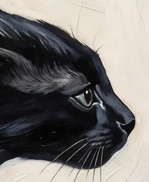 Mr Strange - De zwarte kat kopen? Bied vanaf 85!