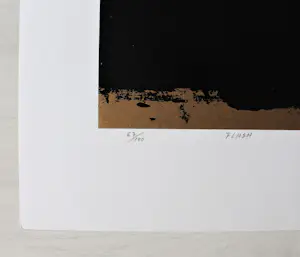 Buy Tetsuro Sawada - "Flash" - Serigraphie - Auflage von 100 - signiert - (88 x 56 cm)? Bid from 450!