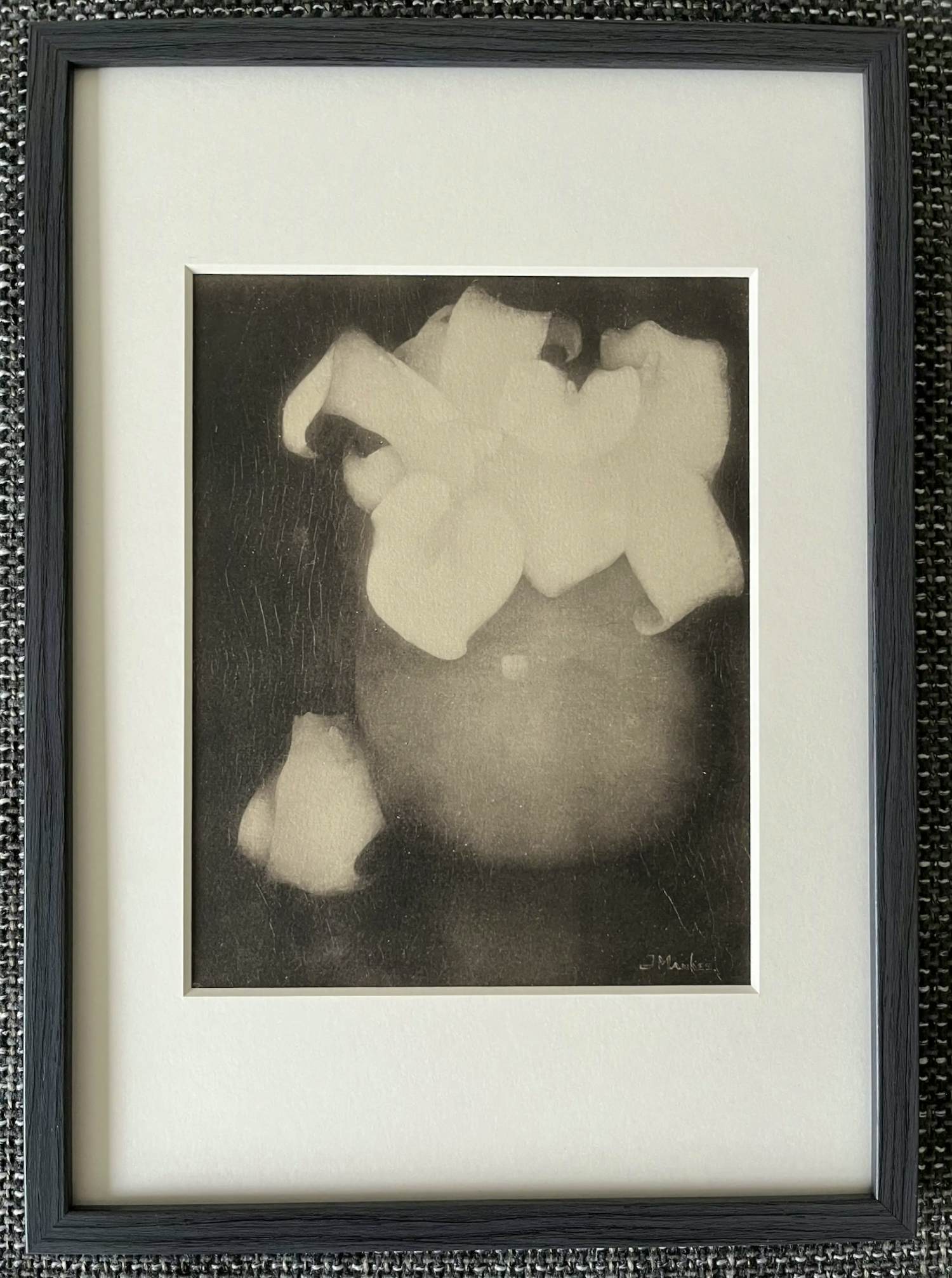 Jan Mankes - Originele Heliogravure Aronskelken 1923 kopen? Bied vanaf 85!