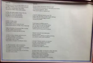 Peter Peereboom - IL VIAGGIO kopen? Bied vanaf 100!