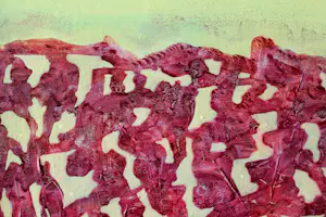 Ad van Riel - Panorama (24) kopen? Bied vanaf 80!