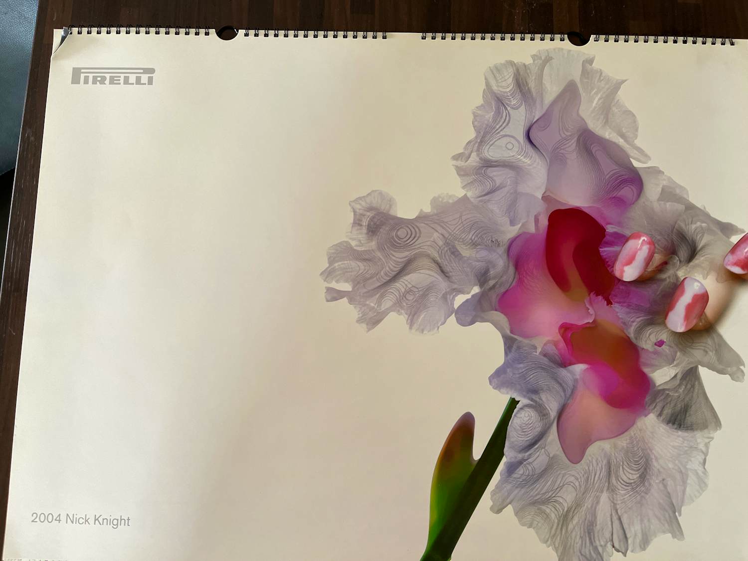 Nick Knight - Pirelli kalender 2004 kopen? Bied vanaf 20!