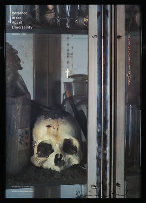 Damien Hirst - Gesigneerd affiche, Romance in the Age of Uncertainty - Ingelijst kopen? Bied vanaf 1!