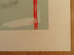 Jan van Diemen - IJshockey kopen? Bied vanaf 30!