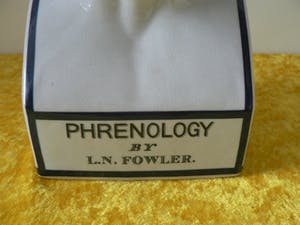 Curiosa - Phrenology head by L.N.Fowler - Met Kleur kopen? Bied vanaf 60!