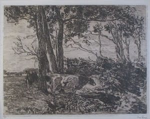 Willem de Zwart - Koeien onder bomen - Ets - Klassiek - 1905 - Zeer goede conditie kopen? Bied vanaf 50!