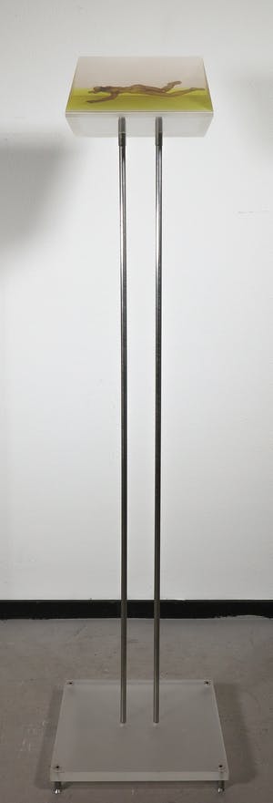 Coen Kaayk - Figuur in perspex, Zonder titel (Groot) kopen? Bied vanaf 1!