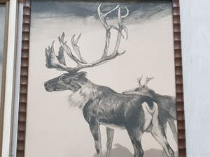 Niet of onleesbaar gesigneerd - Lot van 7 Verschillende prentjes - Gesigneerd kopen? Bied vanaf 1!