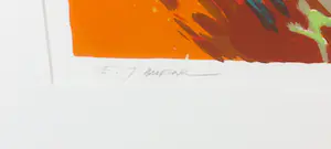 Hans Buenk - Zeefdruk, Springtime I - Ingelijst kopen? Bied vanaf 50!