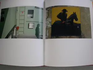 Joel Meyerowitz - Hacia la luz / Out of the darkness kopen? Bied vanaf 125!