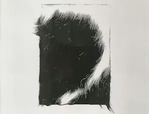 Henk Peeters - 'yvonne-3' positief (detail) kopen? Bied vanaf 250!