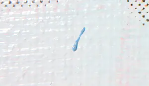 Jörg Döring - Gemengde techniek op doek, MMU kopen? Bied vanaf 60!