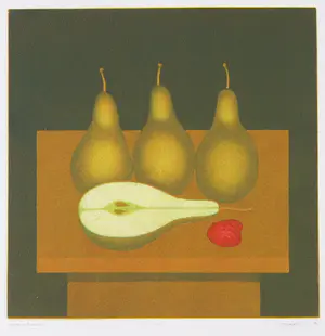 Joop Vegter - Mezzotint, Peren en framboos kaufen? Bieten Sie von 80!