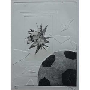 Franc van Oort - Voetbal met kapotte ruit kopen? Bied vanaf 20!