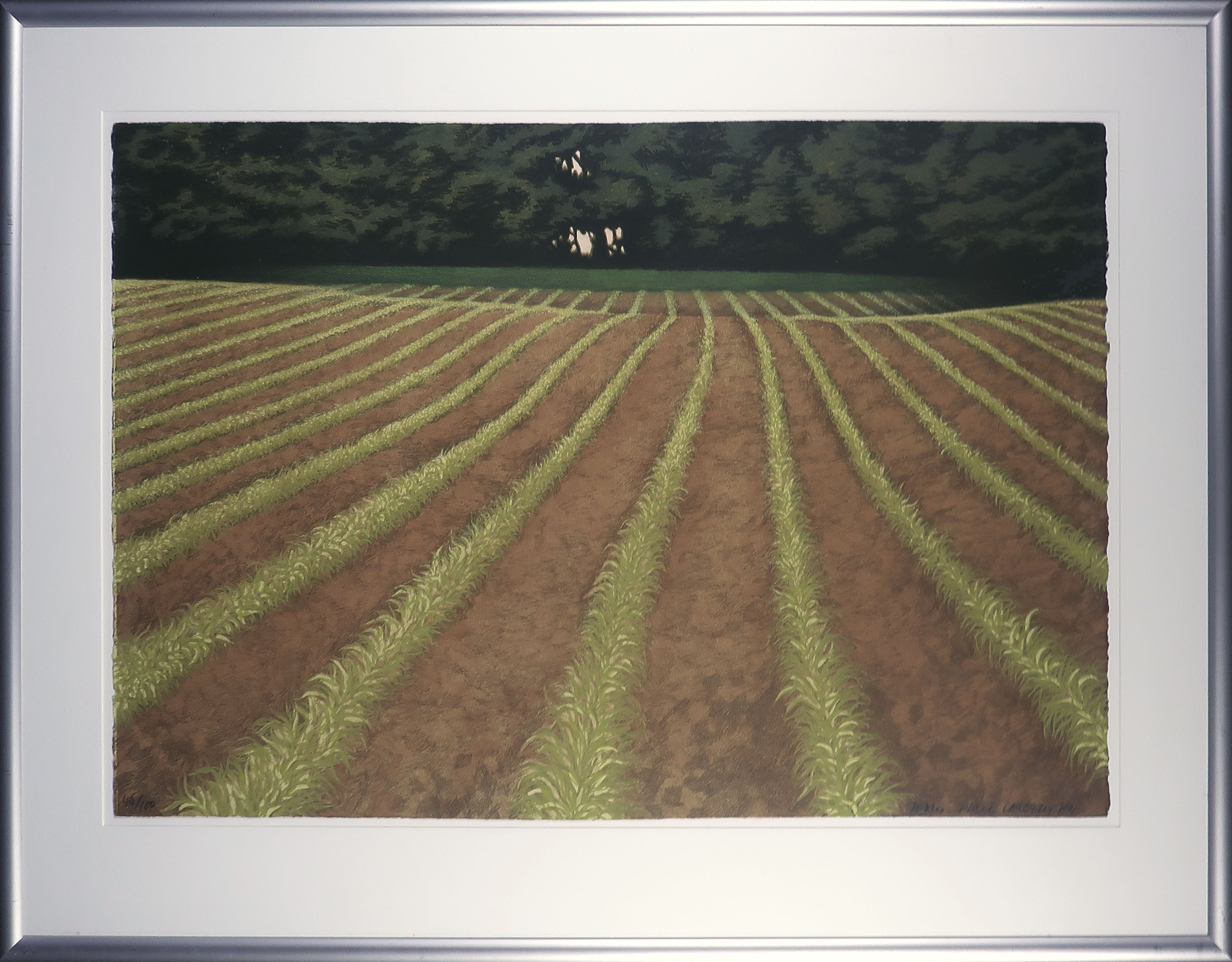 Jean Paul Vroom - Litho, Mais - Ingelijst (Groot) kopen? Bied vanaf 50!