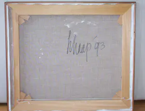 Nicole Schaap - zonder titel kopen? Bied vanaf 100!