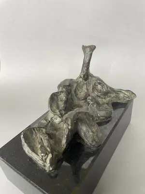 Jetty Homan - Liggend abstract (brons) kopen? Bied vanaf 153!