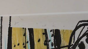 Herman Brood - The right meat kopen? Bied vanaf 500!