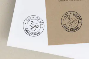 Sarolta Bàn - 'Werk in uitvoering' (2017) kopen? Bied vanaf 80!