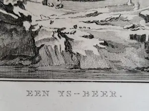 John Webber - "IJsbeer". kopen? Bied vanaf 45!