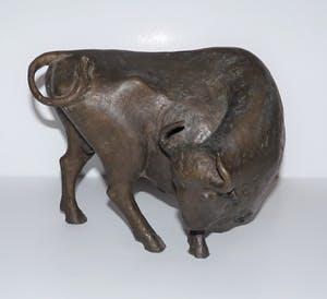 Evert den Hartog - Stier kopen? Bied vanaf 750!