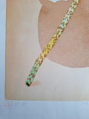 Sjoerd Bakker - Onbekend kopen? Bied vanaf 50!