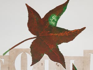 Els Maasson - Folium kopen? Bied vanaf 20!