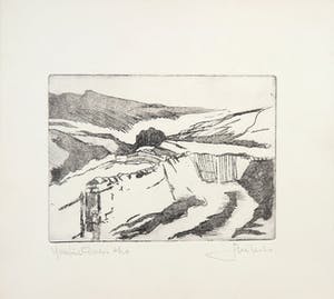 Joe Wols - Yorkshire 4 etsen kopen? Bied vanaf 20!