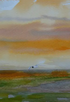 Franklin Meijer - Friese Waddenkust kopen? Bied vanaf 59!