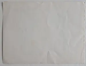 Wobbe Alkema - Linosnede ingekleurd met aquarel kopen? Bied vanaf 135!