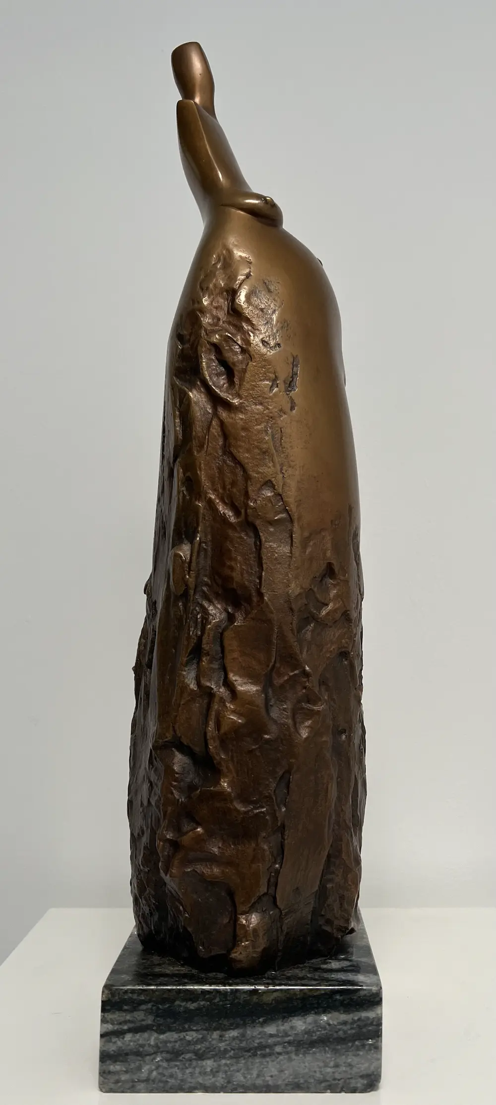 Robert Csikszentmihalyi (1940-2021)