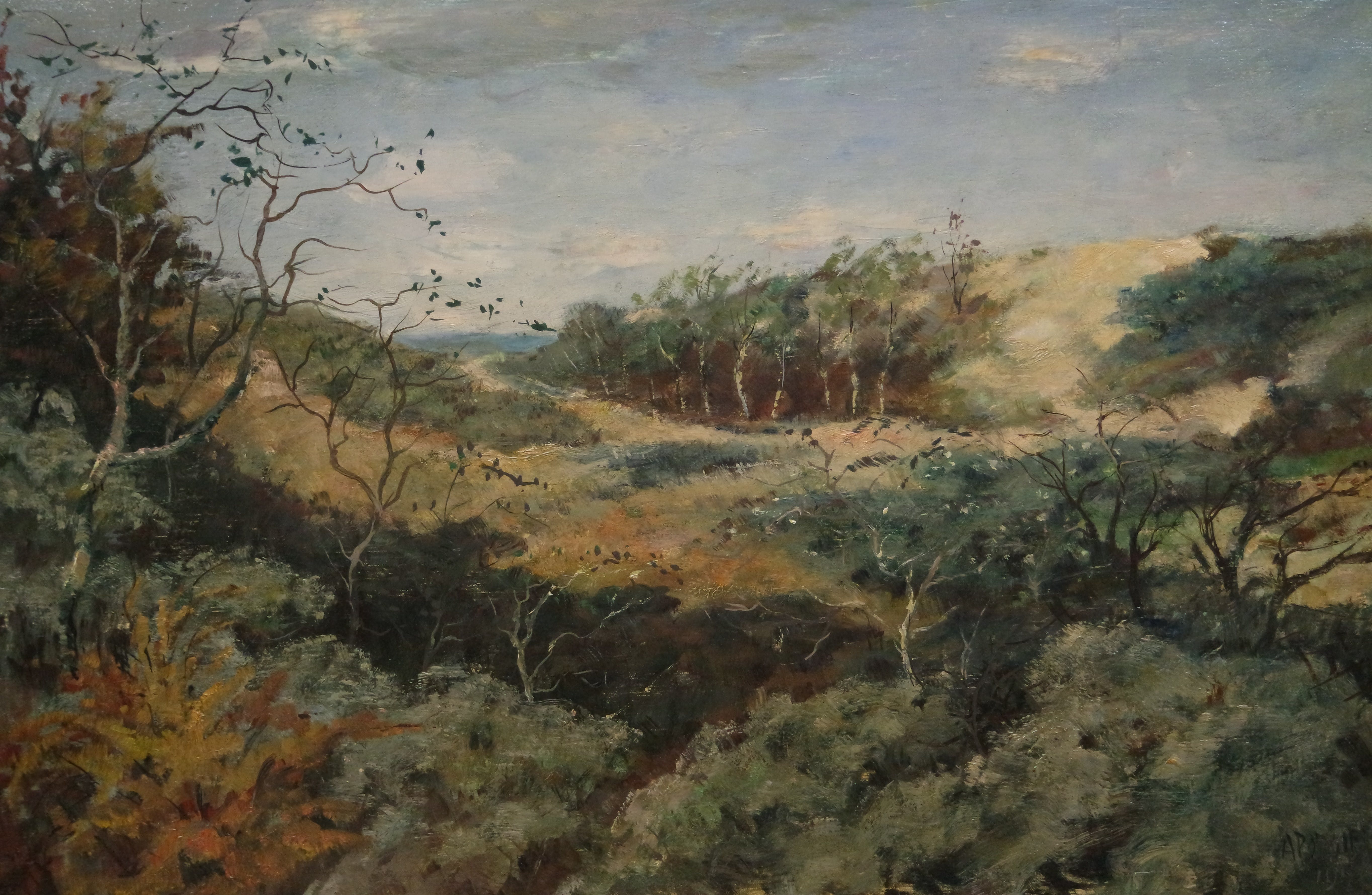 Adam Potgieter - olieverf op doek - duinlandschap verkocht voor € 225!