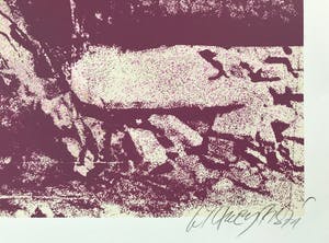 Wilfried Pas - Grote gesigneerde zeefdruk - 10/10 - Kleine oplage! - 1972 - Zelden aangeboden! kopen? Bied vanaf 65!