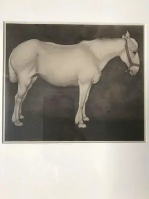 Jan Mankes - Originele Heliogravure Wit Paard 1923 kopen? Bied vanaf 85!