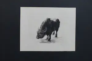 Dick Stolwijk - BUFFEL kopen? Bied vanaf 60!