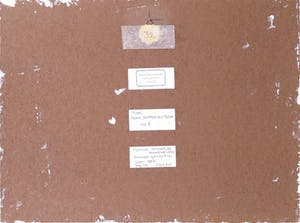 Paul Overhaus - Olieverf op board, Rond ''De Meermin'' Edam - Ingelijst kopen? Bied vanaf 35!