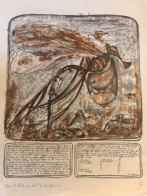 Rene Glaser - Zuigboorder Amphoot met zuigzak kopen? Bied vanaf 25!