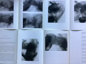 Claude Garache - Derrière Le Miroir - 10 kleuren litho’s kopen? Bied vanaf 1!