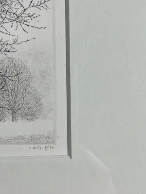 Reinder Homan - Bomen kopen? Bied vanaf 75!