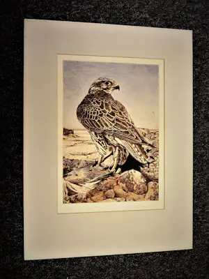 Timothy John Greenwood - gelauwerde Brits graficus - "Havik en prooi" - ETS & aquatint - oplage 100 kopen? Bied vanaf 42!