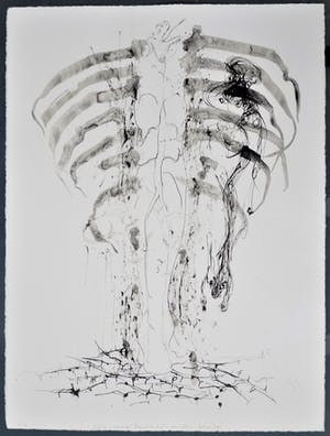 Marc Mulders - Anatomie VI (6) - Marc Mulders, Paul van Dongen en Reinoud van Vught, kopen? Bied vanaf 175!